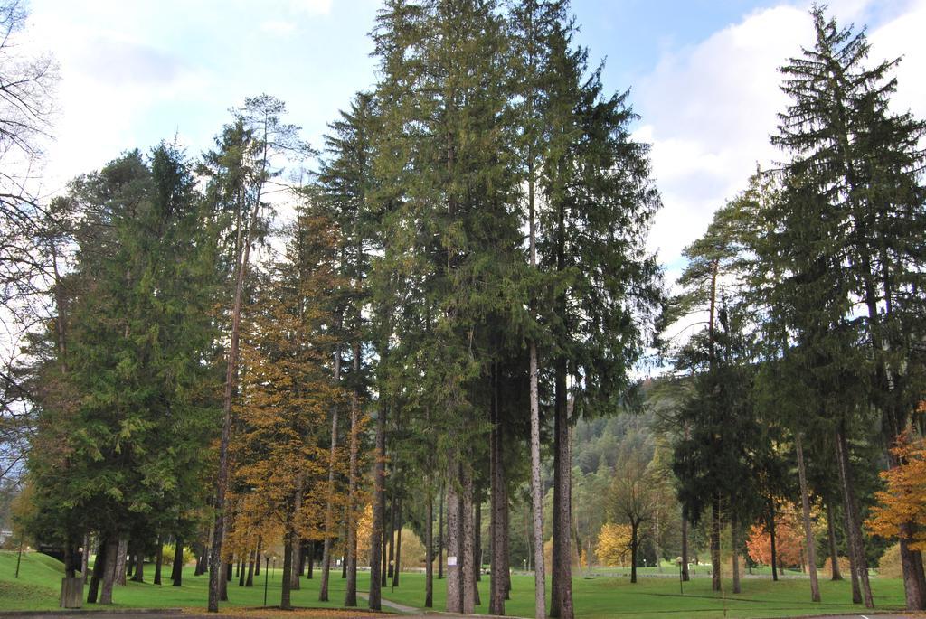 Residenza Finestra Sul Parco Apartment Comano Terme Exterior foto